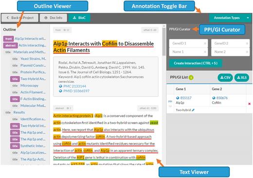 Document viewer in the ‘BioGRID’ mode . The document viewer consists of four main parts: the Annotation Toggle Bar (top), the outline viewer (left side), the text viewer (center) and the PPI/GI curator (right side). The PPI/GI curation tool is only available in the ‘BioGRID’ mode. 
