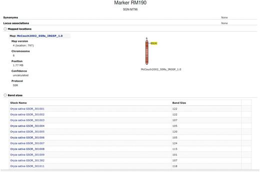 Allele (band size) data by accession for an SSR marker.
