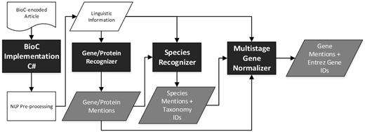 Workflow of the developed modules.