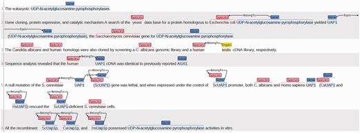Annotations for the article PMID: 9603950.