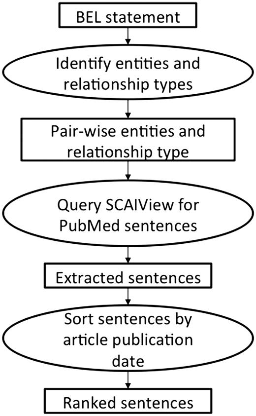 The workflow of the first method employing the semantic search engine SCAIView.