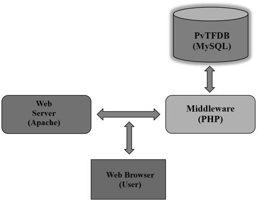 The three-tier architecture of PvTFDB: in this database, open-source programmes (PHP/MySQL) were used.