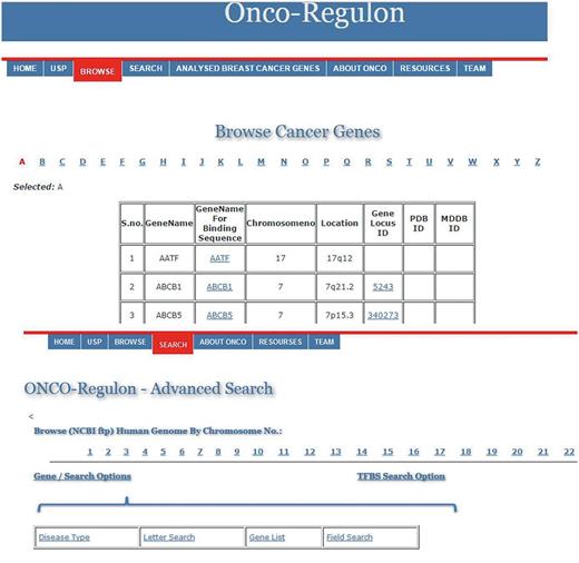 Using the database. The main database can be accessed by clicking the browse tab on the homepage. This returns a table of 933 cancer genes. The first column has gene name which is hyperlinked to provide basic information about the gene. The second column also has gene name but is hyperlinked to provide information about the transcription factors which regulate expression of the particular gene. This column is also hyperlinked and provides information about the TF binding sequence and position in the genome. This forms the basis for the position specific unique sequence prediction by the USP. Lower panel shows the advanced search option where the cancer gene database can be accessed by cancer type, gene name, field search or gene name letter search query.