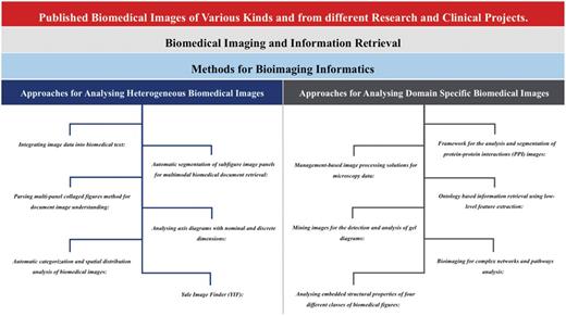 Comparison of approaches towards heterogeneous and domain specific biomedical and scientific images. This figure highlights different approaches, which have been discussed in this manuscript, towards the heterogeneous (Integrating image data into biomedical text; Automatic segmentation of subfigure image panels for multimodal biomedical document retrieval; Parsing multi-panel collaged figures method for document image understanding; Analysing axis diagrams with nominal and discrete dimensions; Automatic categorization and spatial distribution analysis of biomedical images; Yale Image Finder) and domain specific (Framework for the analysis and segmentation of protein-protein interactions images; Management-based image processing solutions for microscopy data; Ontology based information retrieval using low-level feature extraction; Mining images for the detection and analysis of gel diagrams; Bioimaging for complex networks and pathways analysis; Analysing embedded structural properties of four different classes of biomedical figures) biomedical and scientific images.