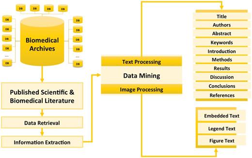 Concept of information extraction from published scientific and biomedical literature. This figure gives the overview of different processes involved in the information extraction from scientific and biomedical literature including data retrieval (getting text and figures from biomedical archives using NLP queries), information extraction (text mining and image processing) and presenting integrated data.