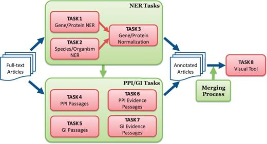 Overview of BioCreative V BioC track. The track consists of named entity recognition (NER), protein–protein interaction (PPI), genetic interaction (GI) and visual tool tasks. The NER tasks include gene/protein NER, species/organism NER and gene/protein normalization. The PPI/GI tasks include finding passages with PPI/GI information (PPI/GI Passages), passages with PPI experimental methods (PPI Evidence Passages) and passages with GI types (GI Evidence Passages).
