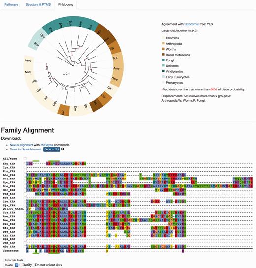 Protein results page, ‘Phylogeny’ tab. This module shows evolutionary information. It displays the consensus probabilistic-based phylogenetic tree of homologous proteins to the query protein. In the tree, the name of the protein (in our case, XPA) is shown for Homo sapiens, while the rest are named by our three-code letter species naming (available in the help section, the same found in the emergence tab) where the nodes are coloured according to the main groups widely used in the evolutionary field for visualization purposes. A species/taxonomy tree is provided also from this page, to check for agreement. The multiple sequence alignments displayed are the unprocessed alignments of homologous sequences as generated by MAFFT (see main text) and can also be exported as ‘fasta’. Both the ‘Nexus alignment with MrBayes commands’ and ‘Trees in Newick format’ files can be downloaded. The former includes an explicit definition of excluded regions and also includes MrBayes running commands to compute the tree, while the latter is the consensus tree in standard ‘Newick’. It is possible to send the tree to the iTOL site for customized visualization.