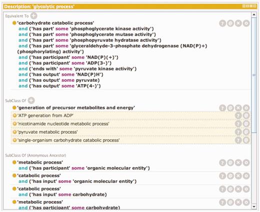 A window showing the logical definition of the class ‘glycolytic process’ using the Protégé ontology editing tool. The Protégé ontology editor (27) was used to construct, validate and display logical definitions to distinguish kinds of glycolysis. The top portion of the window shows the equivalency axioms that make up the logical definition of the term. The definition is made up of both molecular function and participant requirements. Any term in the ontology that satisfies these requirements will automatically be classified as a subtype of ‘glycolytic process’. The lower portion of the window shows the classes of which ‘glycolytic process’ is a subtype. The non-highlighted class is an asserted statement and the highlighted classes are inferred based on the logical definition of ‘glycolytic process’ and the logical definition of those classes.