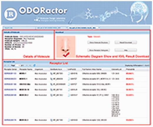 ODORactor results that demonstrate probabilities for interaction between an organic molecule queried (using the SMILES input format) and mouse ORs. The figure shows that there are six possible receptors that are likely to bind the organic molecule with probabilities ranging from 85 to 51%. Links to the receptors in GenBank, UniProt and other olfactory databases are also indicated.