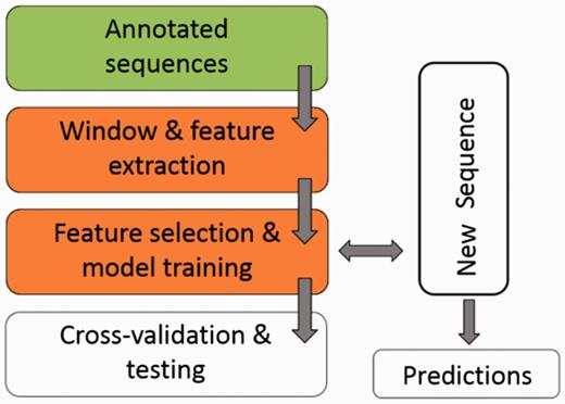 A scheme for the workflow of ASAP. The core of the framework is the ‘Window & feature extraction’ stage. See ‘Methods’ section for details.