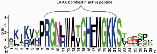 Bombestin putative peptides derived from Pfam PF02044 ‘uncharacterized’ proteins. Graphical view of the conserved region from 59 sequences named as ‘uncharacterized’ from Pfam’s model for Bombestin-like peptides (PF02044, 148 sequences). This set includes 23% of Neopterygii (new fins fish) and the rest are Amniota including representatives from reptiles, rabbit, elephant and more. For the majority of the sequences CleavePred identified the overlooked sites. Cleavage confidence at the N′-terminal sites was lower with respect to the cleavage site probabilities on the C′-terminal of the sequences (0.51–0.67 relative to 0.85–0.91, respectively).