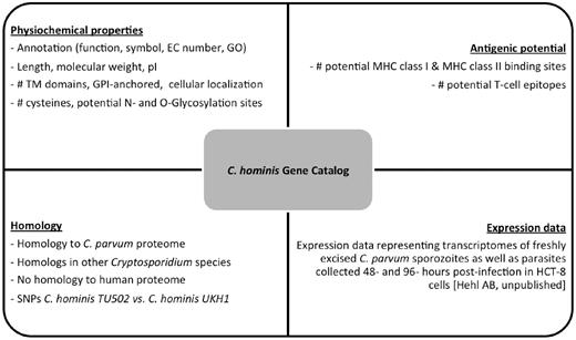  Properties stored in the C. hominis Gene Catalog (ChGC). The database contains a variety of searchable properties for each gene, including physicochemical properties, gene expression data, presence of potential T-cell epitopes and distribution of detectable homologs across the Cryptosporidium genus and in the human genome. 