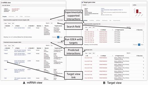 Overview of the ‘ncRNA’-view (A) and ‘Target gene’-view (B).