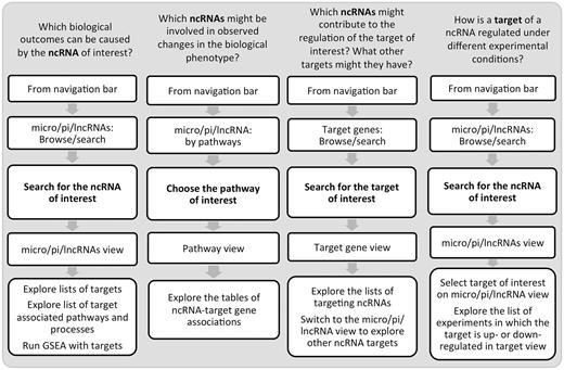 Examples of IRNdb applications in immunological research.