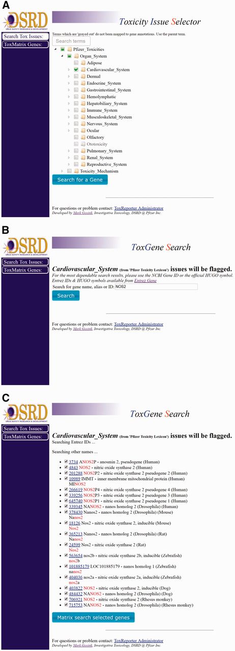 Typical use workflow. (A) To search ToxReporter, the user begins by checking the box next to an area of interest from the SL ontology. (B) Once a category has been chosen, genes can be searched by name, symbol or NCBI Gene ID. (C) Search will return all genes with matching hits high-lighted in red. Clicking on the gene’s link will open the ToxReporter Gene View.