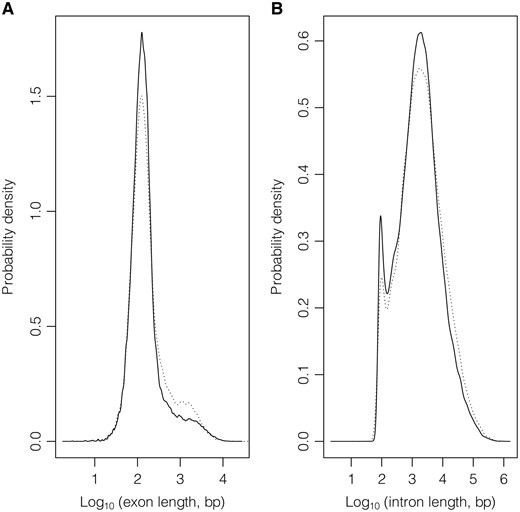 Exon (A) and intron (B) length distributions considering GeneBase 1.1 Human ‘Gene_Table’ records with a ‘VALIDATED’ or ‘REVIEWED’ RefSeq status, with an ‘NM_’ (protein-coding RNAs, continuous lines) or ‘NR_’ (non-coding RNAs, dotted lines) type of corresponding RefSeq RNA accession number, belonging to ‘REVIEWED’ or ‘VALIDATED’ genes excluding those not in current annotation release.