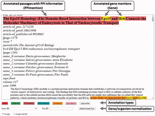 Annotation interface for the BioC-BioGRID corpus (5). Overlapping annotation types are shown in yellow in the interface. Here, gene names appear yellow because they are annotated as both ‘Gene’ and as part of a mention sentence.