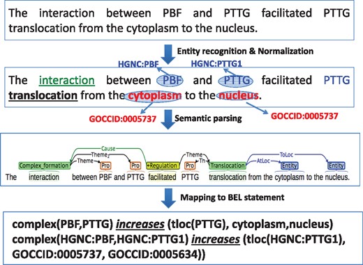 Illustration of individual steps of rule based semantic parser.
