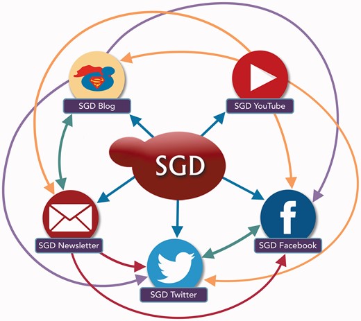 The SGD uses a variety of outreach and social media platforms to disseminate news and information to our user community. To increase readership and reach the broadest possible audience, content posted on one outreach platform is often publicized, announced or re-posted on other outreach platforms. Colored arrows indicate the directions in which content is pushed from one platform to another.