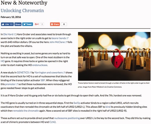 A key feature of the SGD blog is the Research Spotlight, which use real-world analogies to highlight recent yeast research articles in an informal and engaging manner.