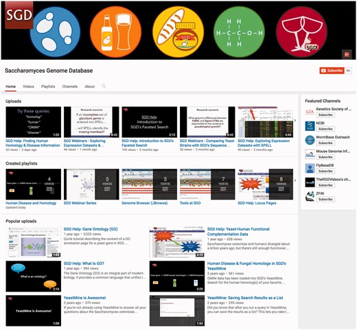 The SGD distributes video tutorials via the SGD YouTube channel (youtube.com/SaccharomycesGenomeDatabase).