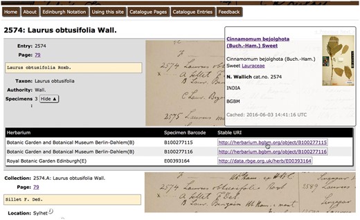 The Wallich Catalogue. Screenshot of Wallich Catalogue hosted by Royal Botanic Garden Edinburgh showing popup for stable URI containing information hosted at Botanic Garden and Botanical Museum Berlin-Dahlem.