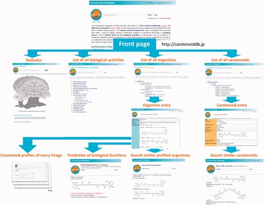 Links in the Carotenoids Database.