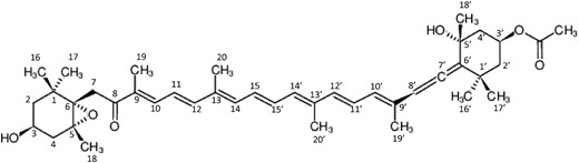 Fucoxanthin: (3S,5R,6S,3'S,5'R,6'R)-5,6-Epoxy-3'-ethanoyloxy-3,5'-dihydroxy-6',7'-didehydro-5,6,7,8,5',6'-hexahydro-beta,beta-caroten-8-on whose chemical fingerprints are made as “(3S,5R,6S,3'S,5'R,6'R), 6',7'–H, 5,6 + H, 7,8 + H, 5',6'+H, 3-OH, 5'-OH, 3'-Ethanoyloxy, 8 = O, 5,6-Epoxy, beta,beta”.