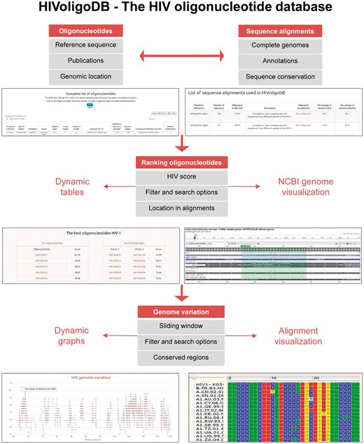 Screenshot of the data and tools included in the HIVoligoID.