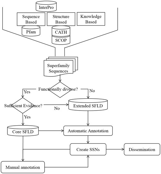 Steps in creation, annotation and dissemination of an SFLD SF. Initial identification of an SF set uses information from structural and sequence databases as well as knowledgebase data from several sources. All SFs have at least one SSN generated from its members which is available for download from the SFLD website.