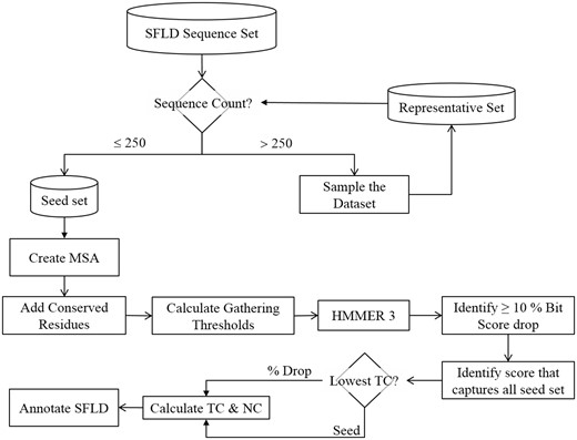 Flowchart showing how multiple sequence alignments are generated and gathering thresholds chosen for HMM creation. The trusted cut-off (TC) represents the highest bit score before either a large drop in the bit score (10%) or the bit score at which the entire seed set is matched. NC is the non-trusted cut-off, i.e., the lowest bit score after a drop in score of 10% or more or the next bit score for the match following the TC cutoff that matches the whole seed set.