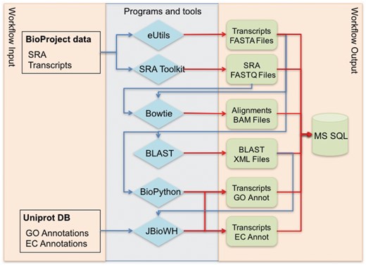 Global workflow for annotating NCBI BioProject transcriptome data.