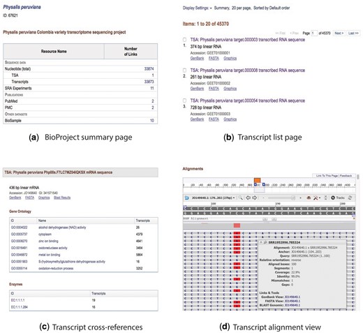 Collage of the content view for the BioProject and transcript pages. (a) BioProject summary page, (b) transcript list page, (c) description and cross-referenced blocks, and (d) alignment view.