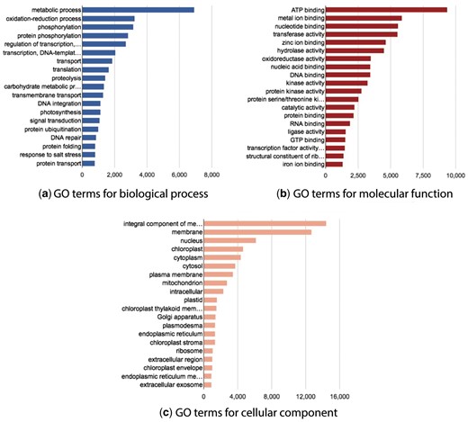 Statistics graphs for Gene Ontology namespace.