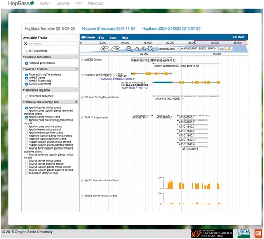 HopBase provides a JBrowse genome browser consisting of multiple tracks such as gene models, ESTs, alignments from TAIR, and RNA-seq data.