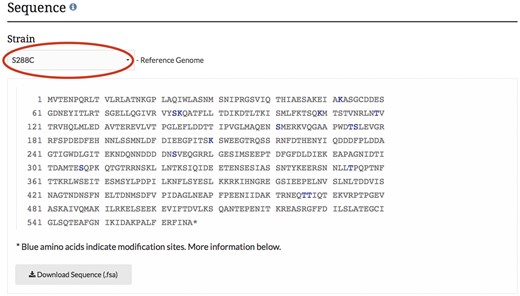 PTM information is integrated into the SGD and displayed on protein pages as highlighted residues overlaid on the protein sequence. The example shown here is from the MCD1 protein page.
