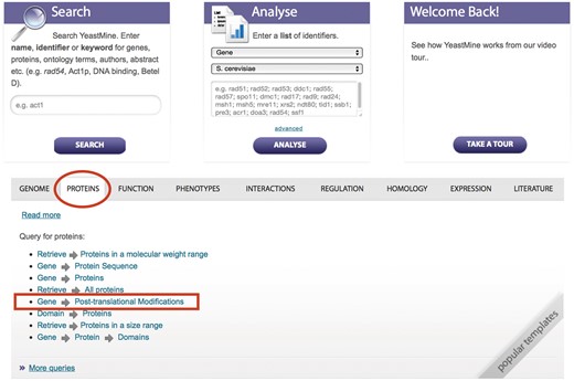 PTM information can be queried and retrieved using the ‘Gene → PTM’ template in YeastMine (yeastmine.yeastgenome.org).