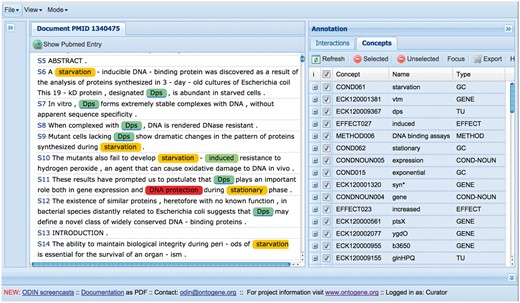 A screenshot of the curation system’s interface.