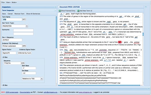 Self-filling forms can be used to speed up the curation process.