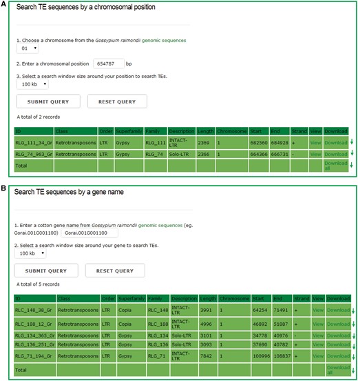 The chromosomal region search page. Users can retrieve the TE sequences for any one entire chromosome or in a defined window around either a chromosomal position or a gene model, and the detailed information of each retrieved TEs can be viewed and downloaded by clicking the hyperlinks provided on the page.