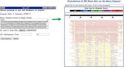 The BLAST interface (left) and a sample of BLASTn results (right) provided in GrTEdb.
