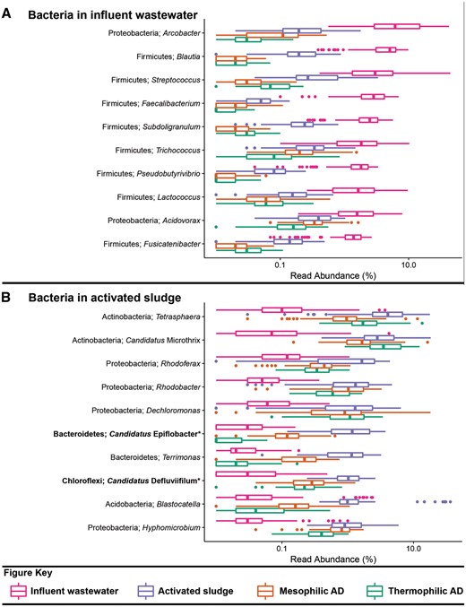Box plot for the distribution of the 10 most abundant bacterial genus-level-taxa by median abundance in A. influent wastewater and B. activated sludge. Amplicon abundance values (V1-3 region) are given as a percentage of total bacterial reads for the influent wastewater, activated sludge and anaerobic digester communities (19). *Novel MiDAS genus level taxa are given in bold.