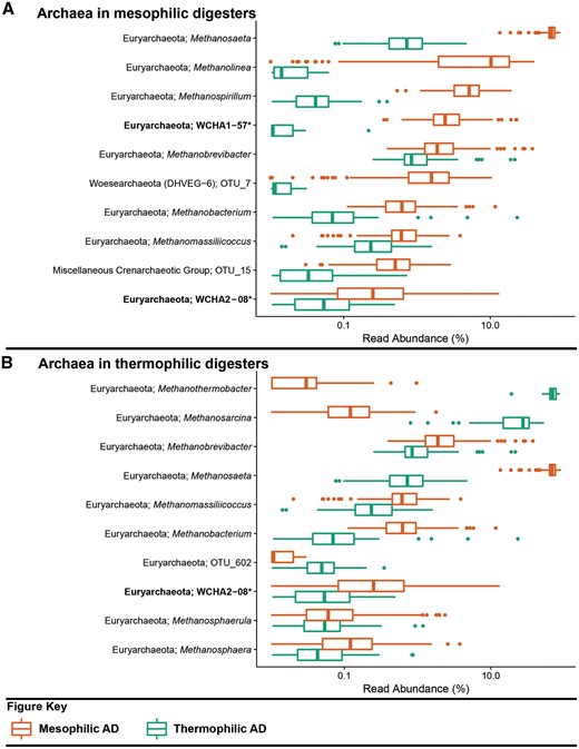 Box plot for the distribution of the 10 most abundant archaeal genus-level-taxa by median abundance in A. mesophilic and B. thermophilic anaerobic digesters. Amplicon abundance values (V3-5 region) are given as a percentage of total archaeal reads for each phylotype (19). *Novel MiDAS genus level taxa are given in bold.