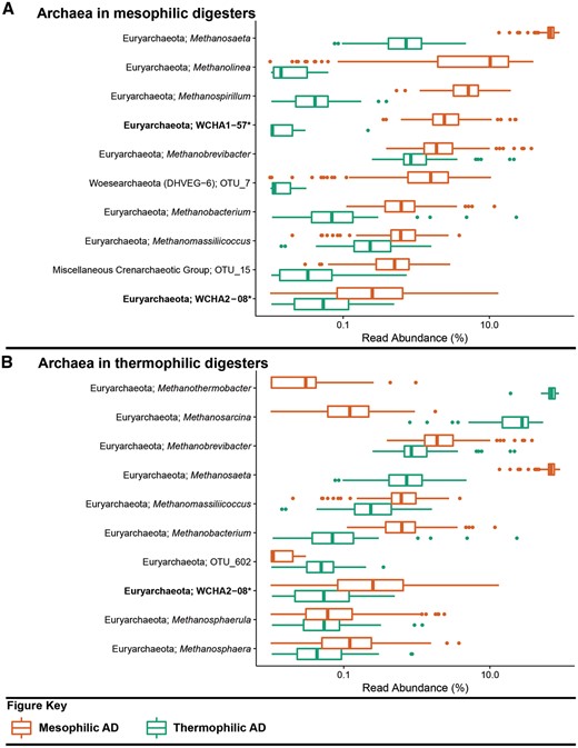 Box plot for the distribution of the 10 most abundant archaeal genus-level-taxa by median abundance in A. mesophilic and B. thermophilic anaerobic digesters. Amplicon abundance values (V3-5 region) are given as a percentage of total archaeal reads for each phylotype (19). *Novel MiDAS genus level taxa are given in bold.