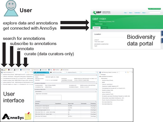 Simplified AnnoSys system workflow. Users access annotations via biodiversity data portals or directly via the AnnoSys user interface. Annotations are publicly visible in the data portals directly after publication.