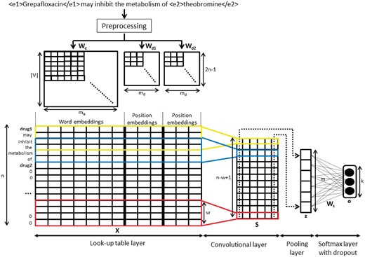 CNN model for DDIExtraction task.