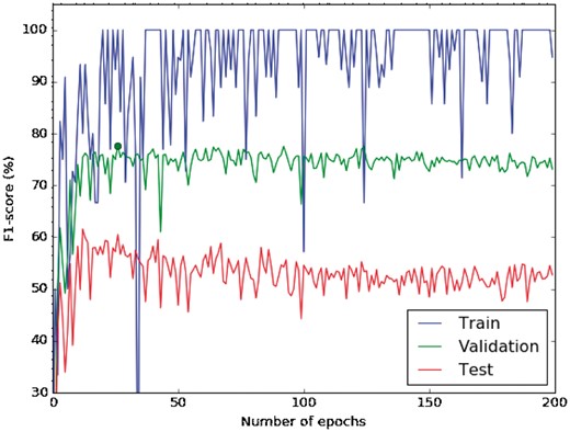 Learning curve of a CNN with random initialization. The blue line shows the training-curve variation along the number of epochs, the green represents the validation and the red one the testing curve.