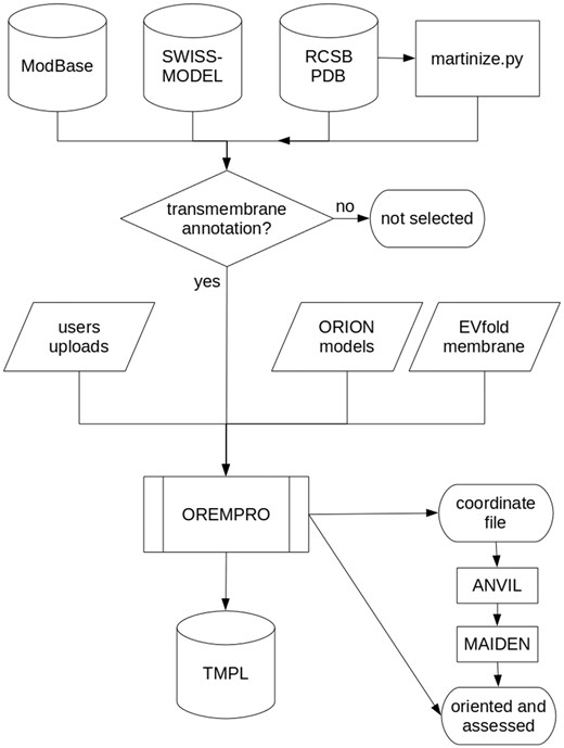 Flowchart describing how the TMPL database is generated. Predicted, native, and ′martinized′ structures from other databases are selected for being annotated as ′transmembrane′ proteins, before being submitted to the OREMPRO server. The latter is a pipeline of the ANVIL and MAIDEN methods, which are aimed at the orientation and assessment of transmembrane protein structures, respectively.