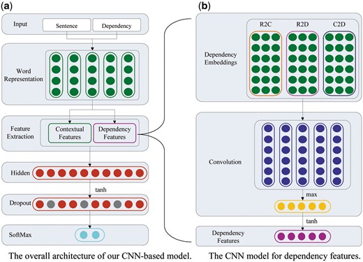 The architecture of our CNN-based model for the intra-sentence level relation extraction. (a) The overall architecture of our CNN-based model; (b) the CNN model for dependency features.