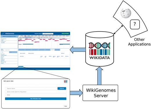 Process of contributing to and consuming data in WikGenomes via Wikidata. WikiGenomes retrieves data from Wikidata via the WDQS SPARQL query service, and allows contribution of defined edits back into Wikidata via a guided annotation curation process. The data then becomes available to any web application that uses Wikidata in a similar way.